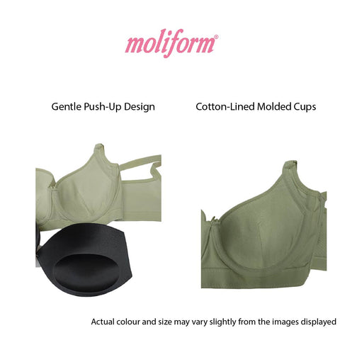 Moliform Wired Lightly padded bras /  coli berwayar   B1862 Size C36-42